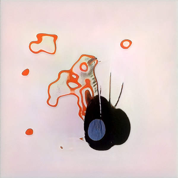 1417 8K Digital Download