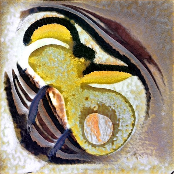 1140 8K Digital Download