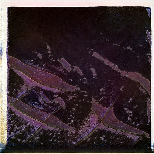 1633 8K Digital Download