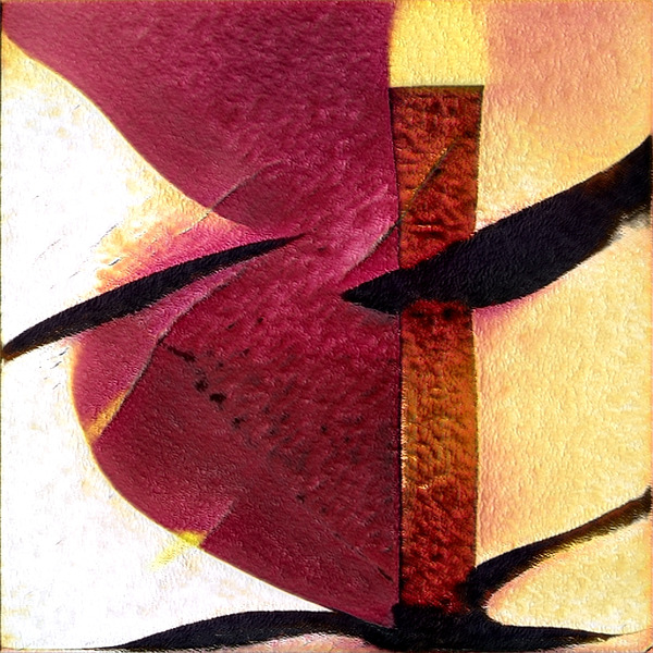 1137 8K Digital Download