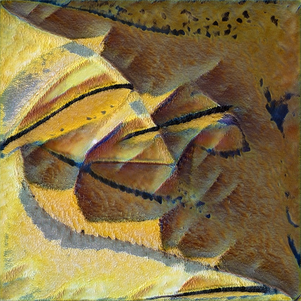 3568 8K Digital Download