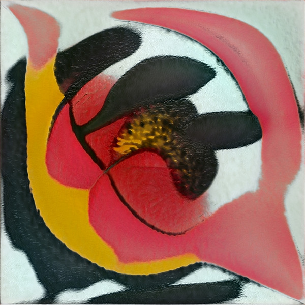 1558 8K Digital Download