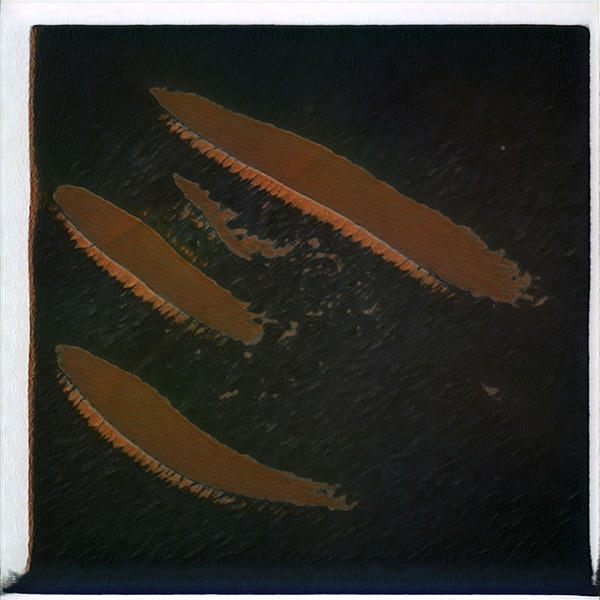 921 8K Digital Download