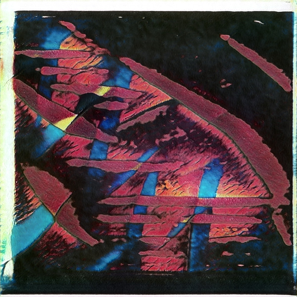 3736 8K Digital Download