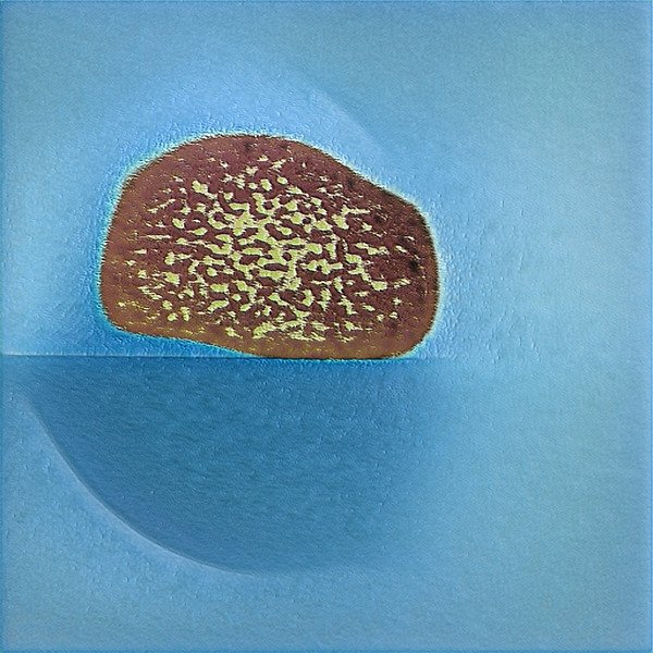 44 8K Digital Download