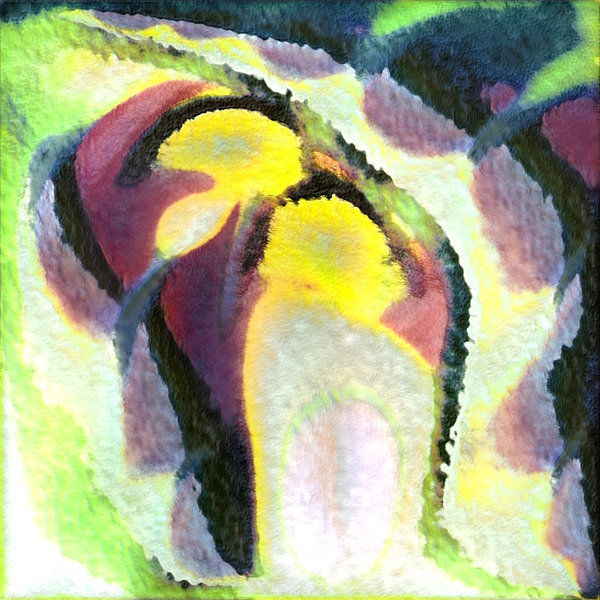 2466 8K Digital Download