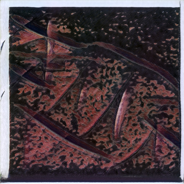 1352 8K Digital Download