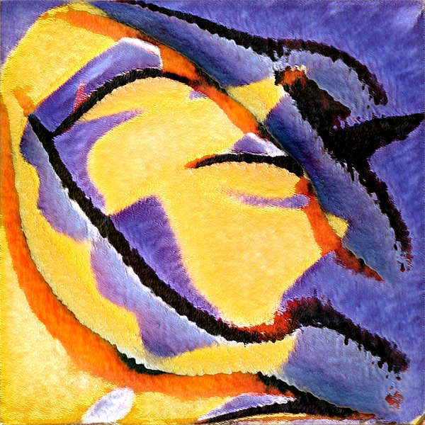 3783 8K Digital Download