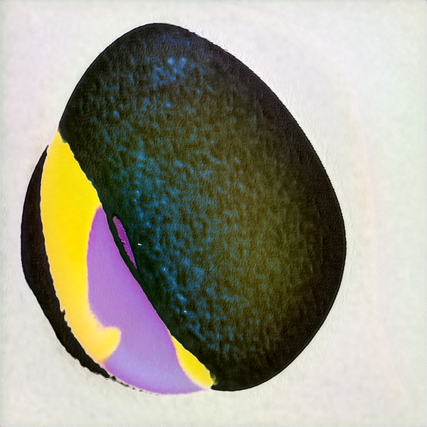 1015 8K Digital Download