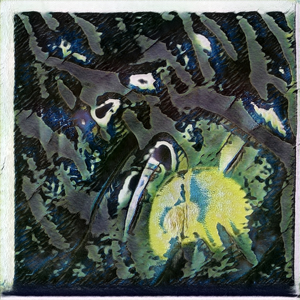 254 8K Digital Download