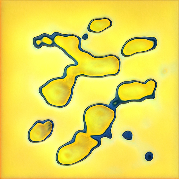 3044 8K Digital Download