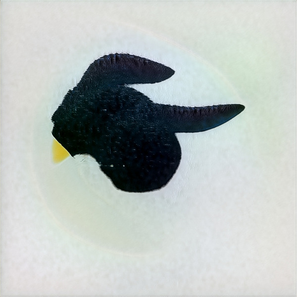 527 8K Digital Download