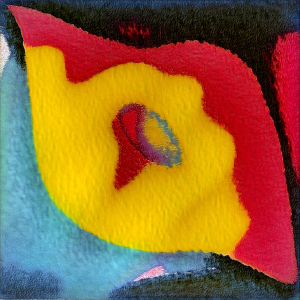 2956 8K Digital Download