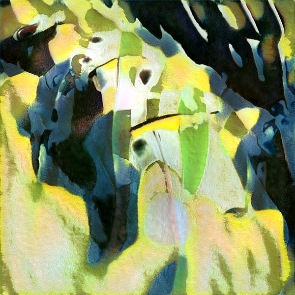 2932 8K Digital Download