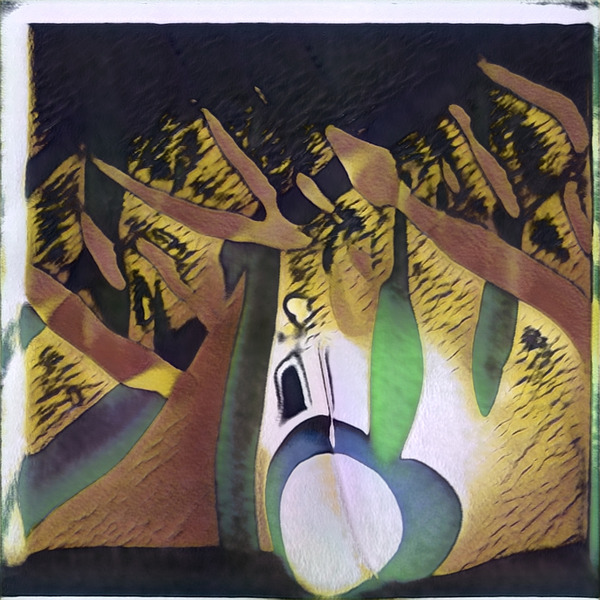 1783 8K Digital Download