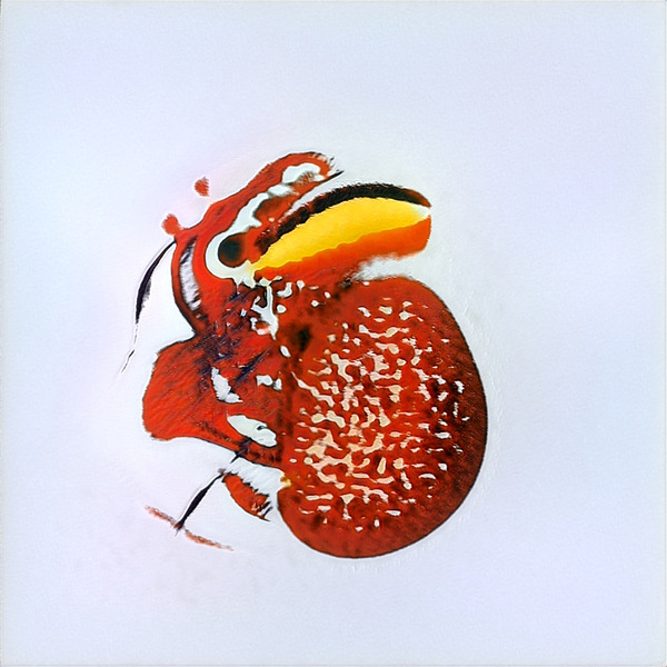 882 8K Digital Download