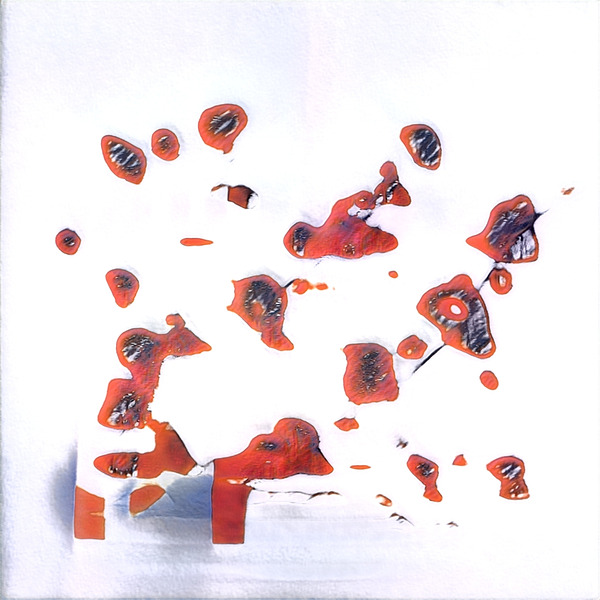 501 8K Digital Download