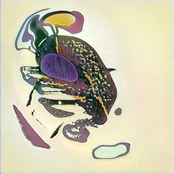 4154 8K Digital Download