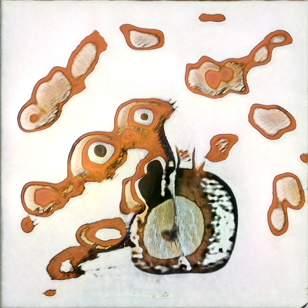 892 8K Digital Download