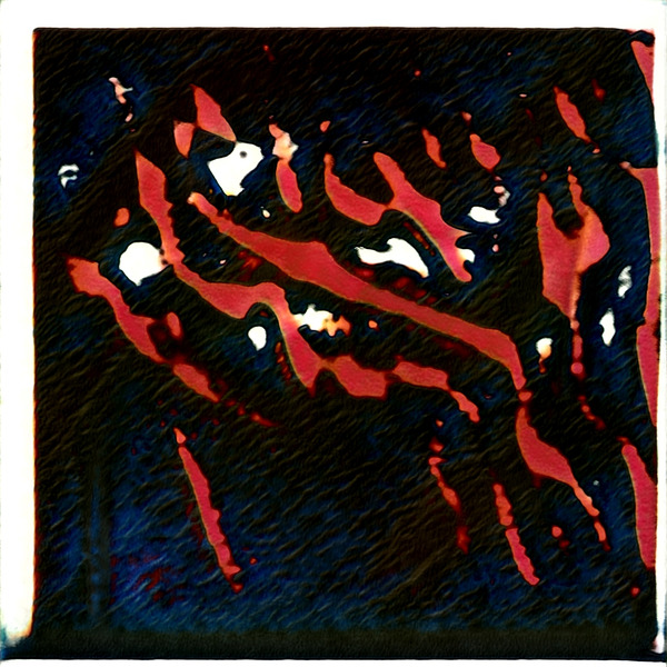 2555 8K Digital Download