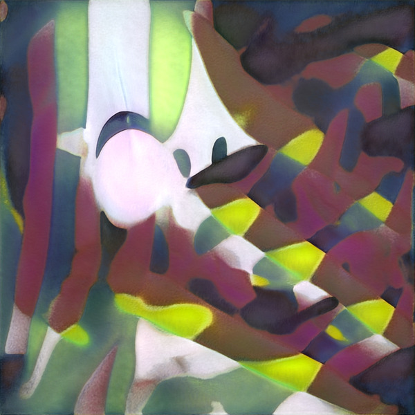 2889 8K Digital Download