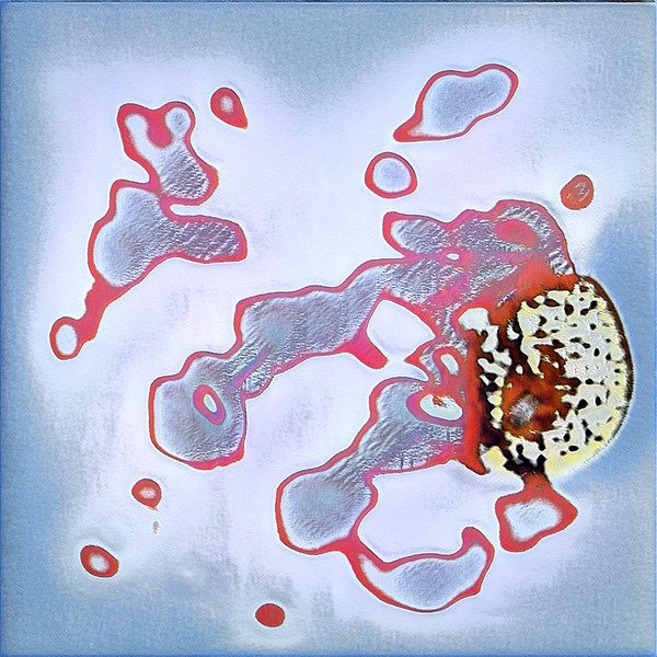 2339 8K Digital Download