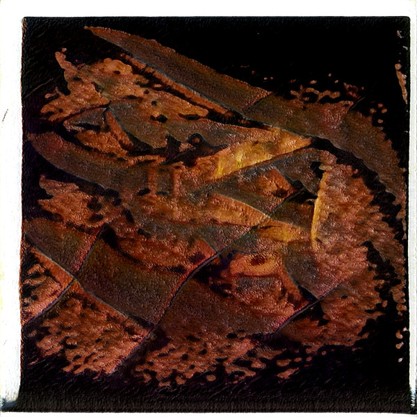 1755 8K Digital Download