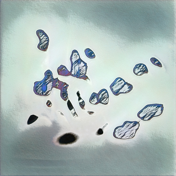 2576 8K Digital Download