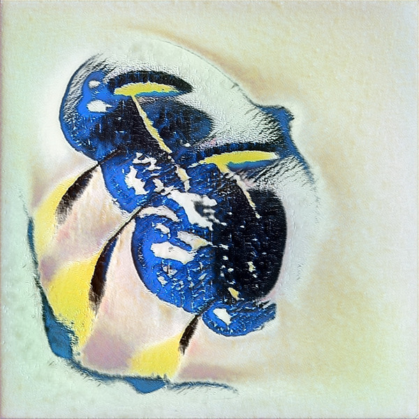 1544 8K Digital Download