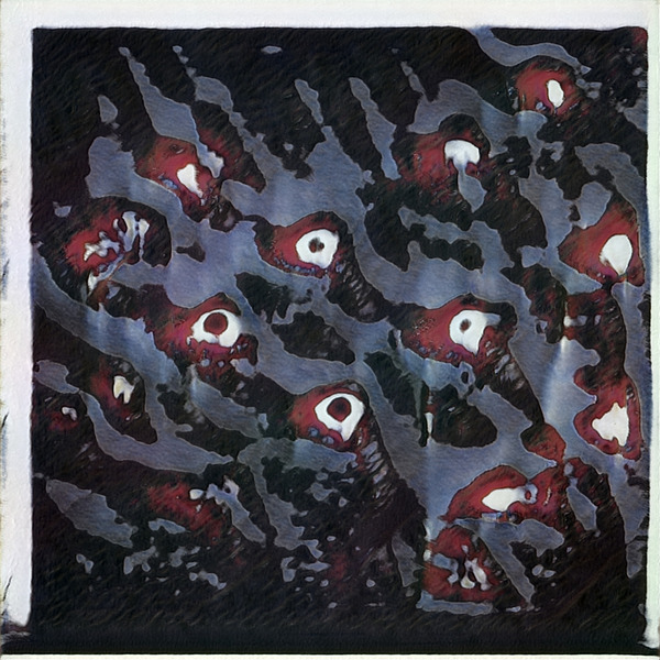 3946 8K Digital Download