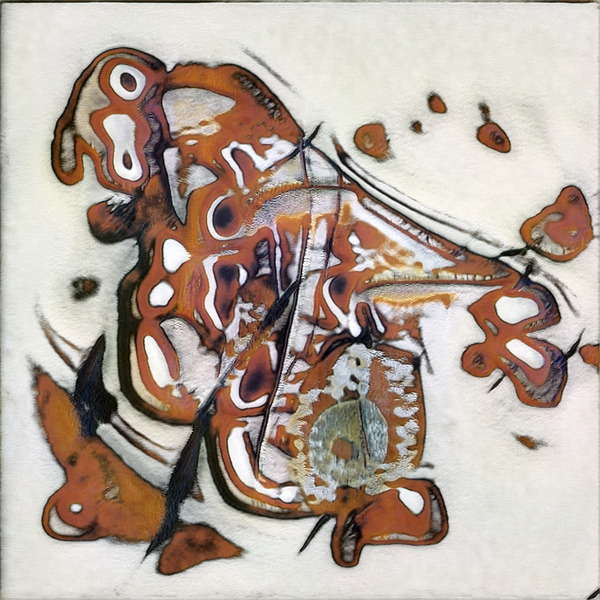 944 8K Digital Download