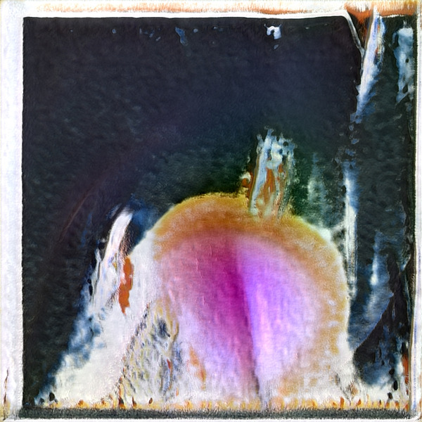 730 8K Digital Download