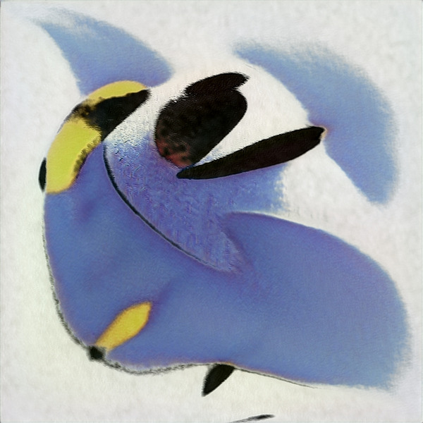 3121 8K Digital Download