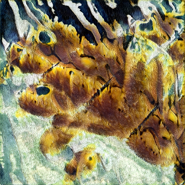 4090 8K Téléchargement Numérique