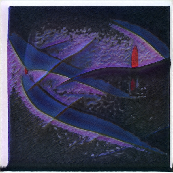 2905 8K Digital Download