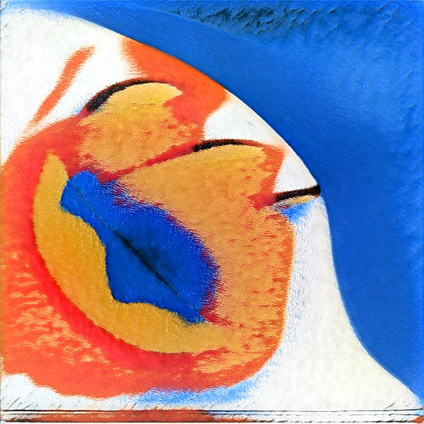 2955 8K Digital Download