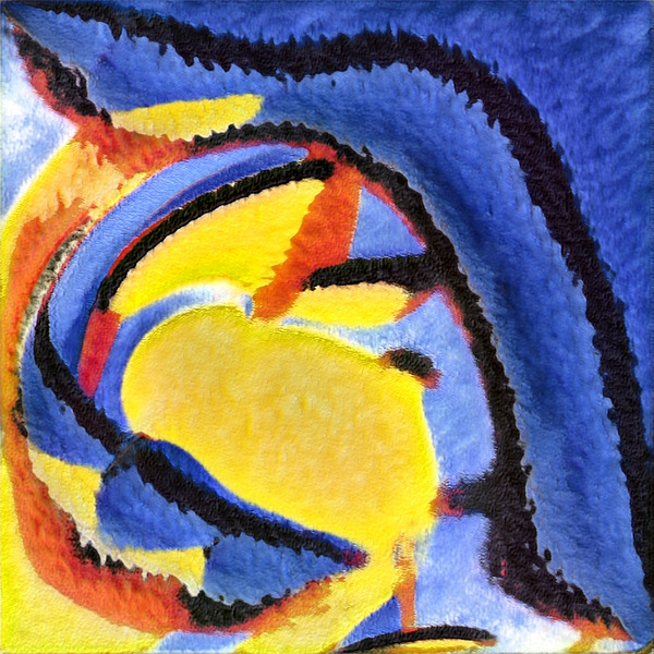 3442 8K Digital Download