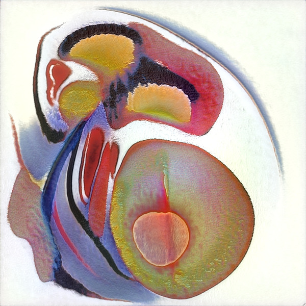 3895 8K Digital Download