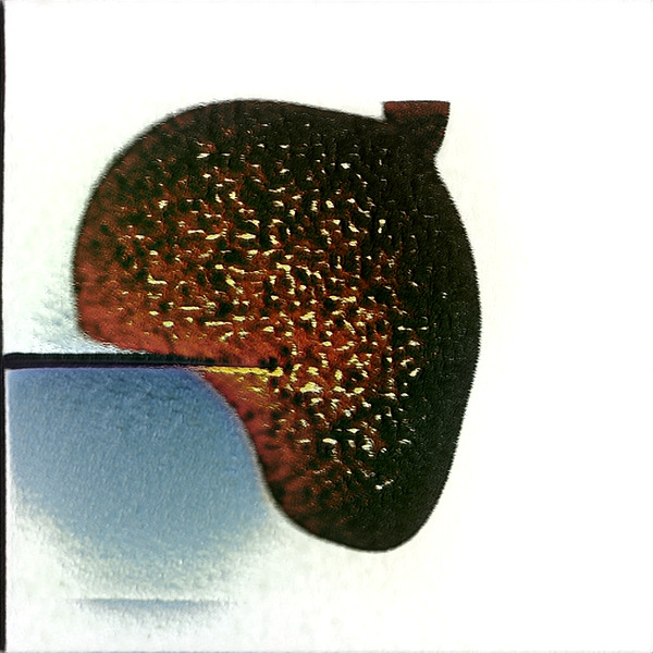 3123 8K Digital Download