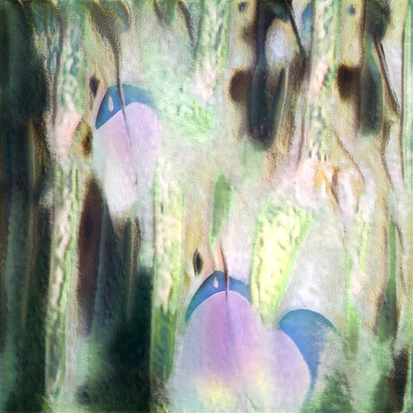 3894 8K Digital Download