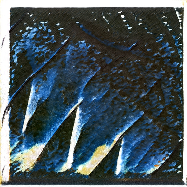 2925 8K Digital Download