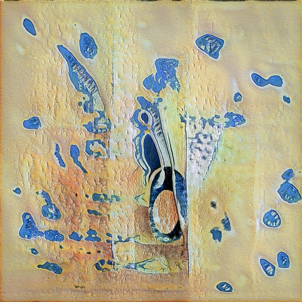 4126 8K Digital Download