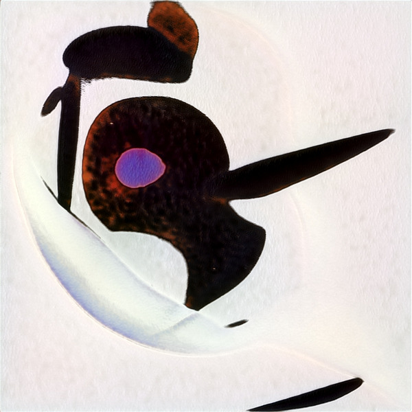 89 8K Digital Download