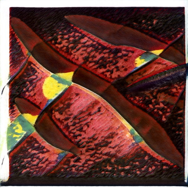 3449 8K Digital Download