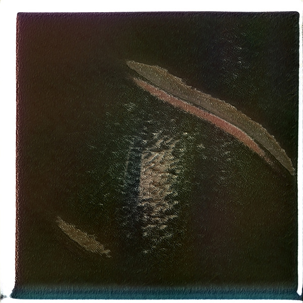 681 8K Digital Download