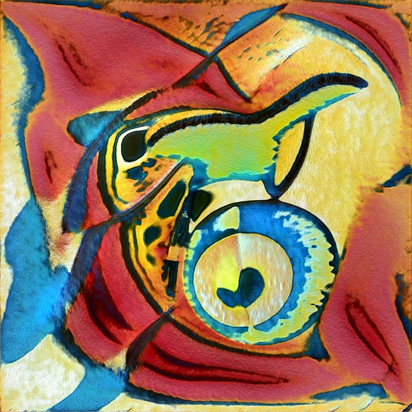 2544 8K Digital Download