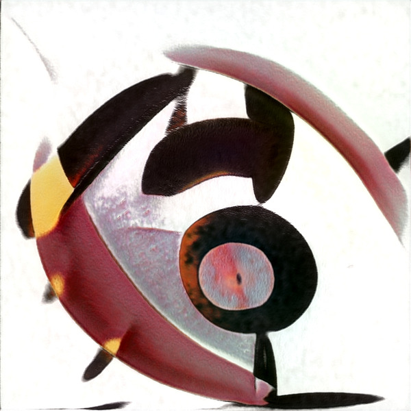 55 8K Digital Download