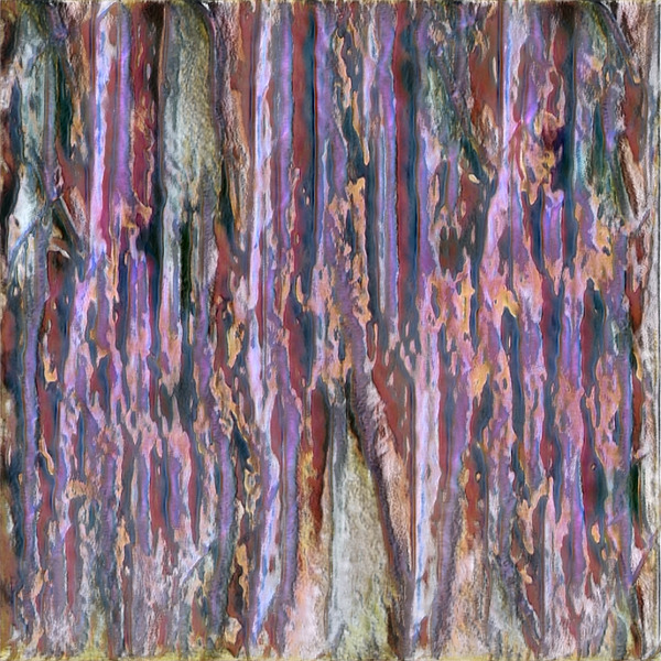 2529 8K Digital Download