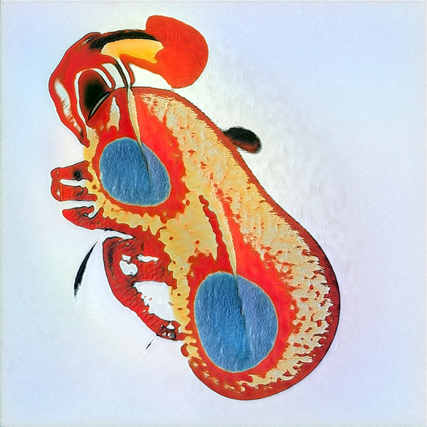 516 8K Digital Download