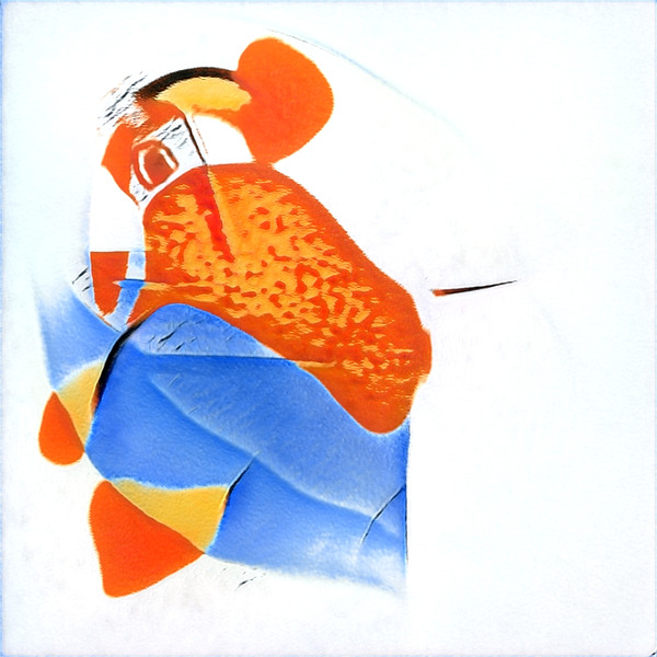 804 8K Digital Download